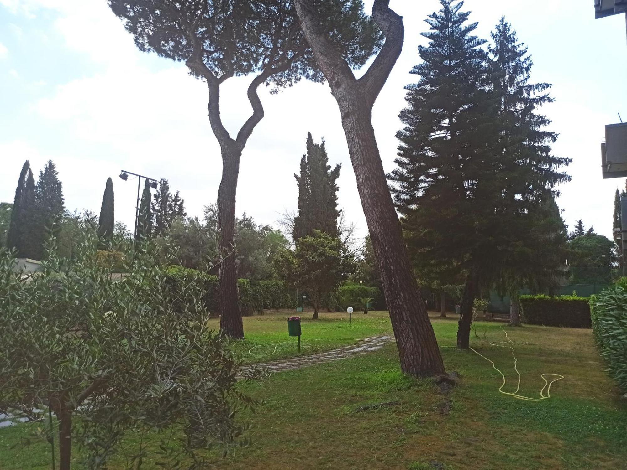 Aurelia Antica Terrace Apt Free Pool And Parking Ρώμη Εξωτερικό φωτογραφία